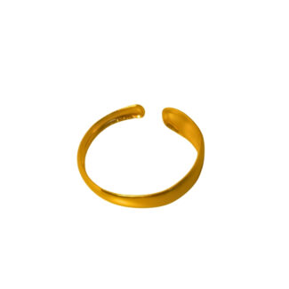 Veloura Gold Stainless Steel Bangle