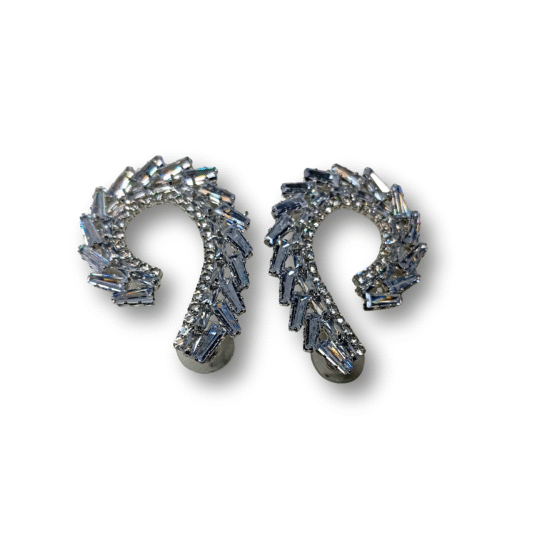 NSS - Icelandia Gem Curve Silver Earrings